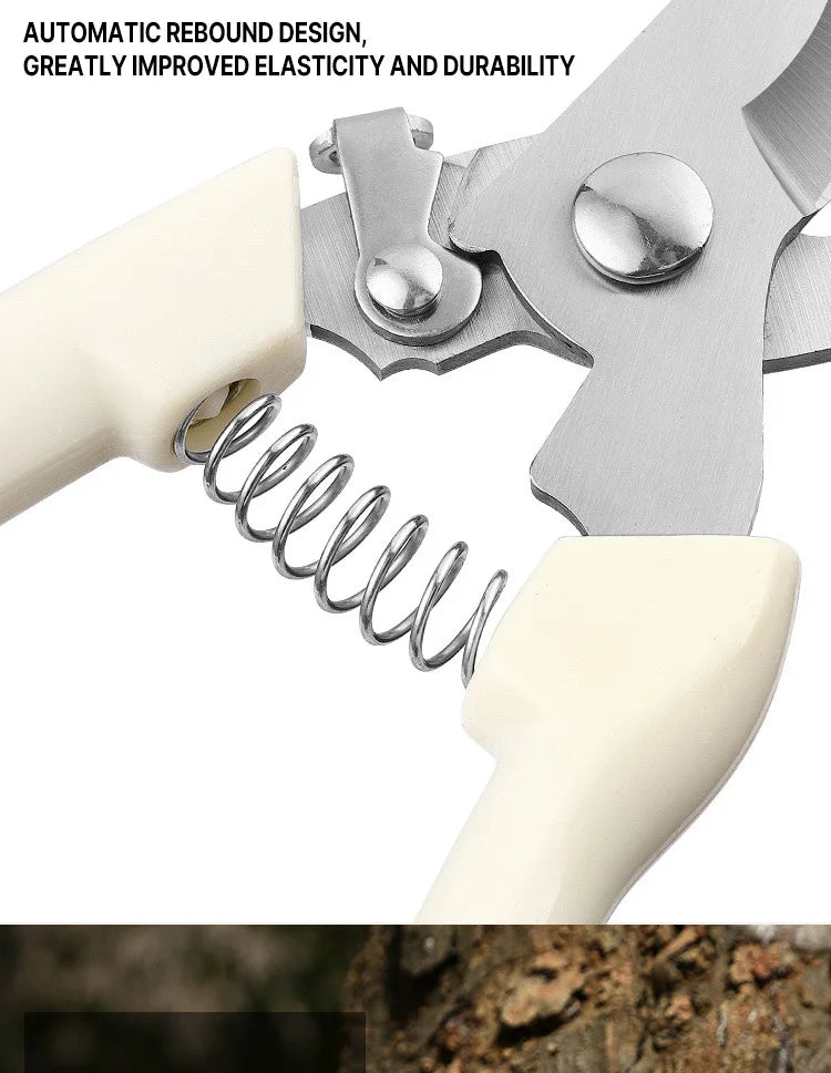 Professional Pruning Scissors - Ongo24