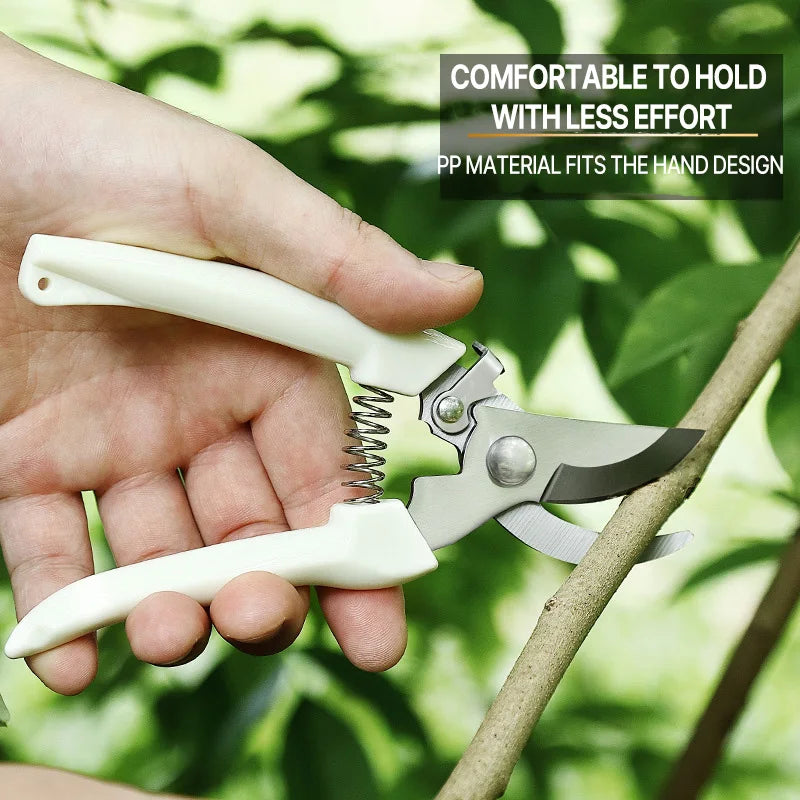 Professional Pruning Scissors