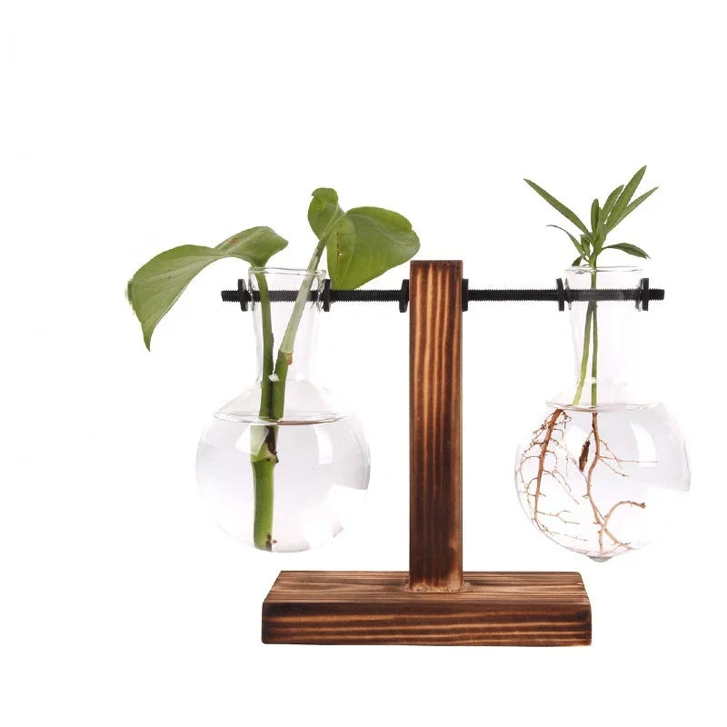 Hydroponic Glass Plant Terrarium Stand