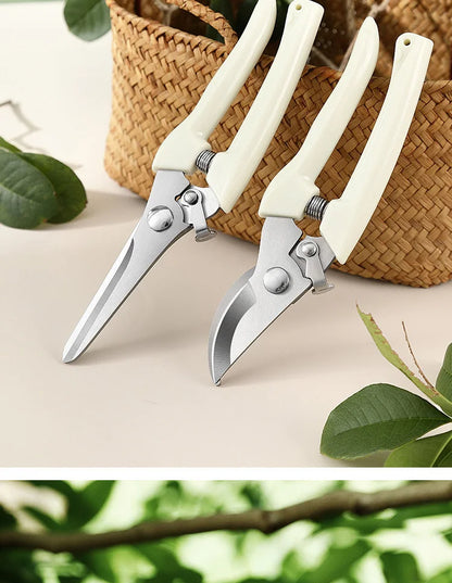 Professional Pruning Scissors