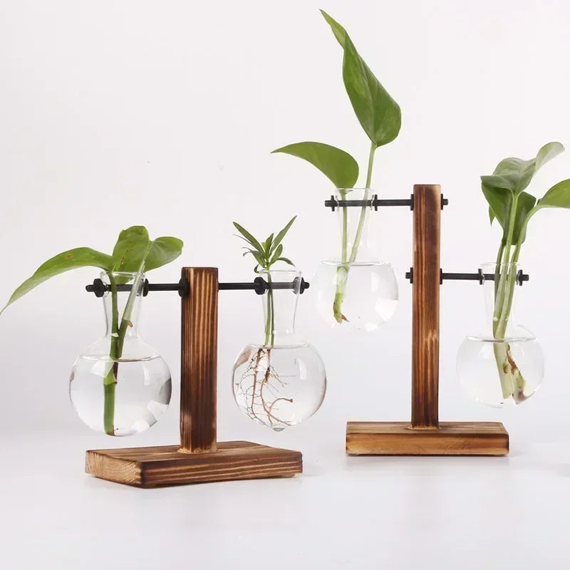 Hydroponic Glass Plant Terrarium Stand