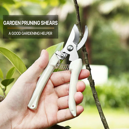 Professional Pruning Scissors