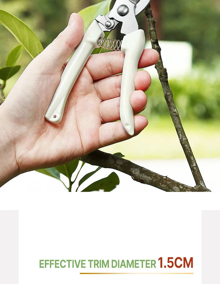 Professional Pruning Scissors