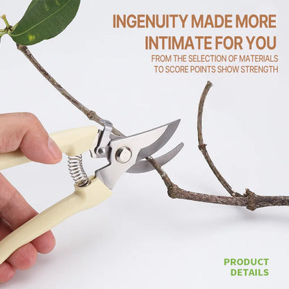 Professional Pruning Scissors