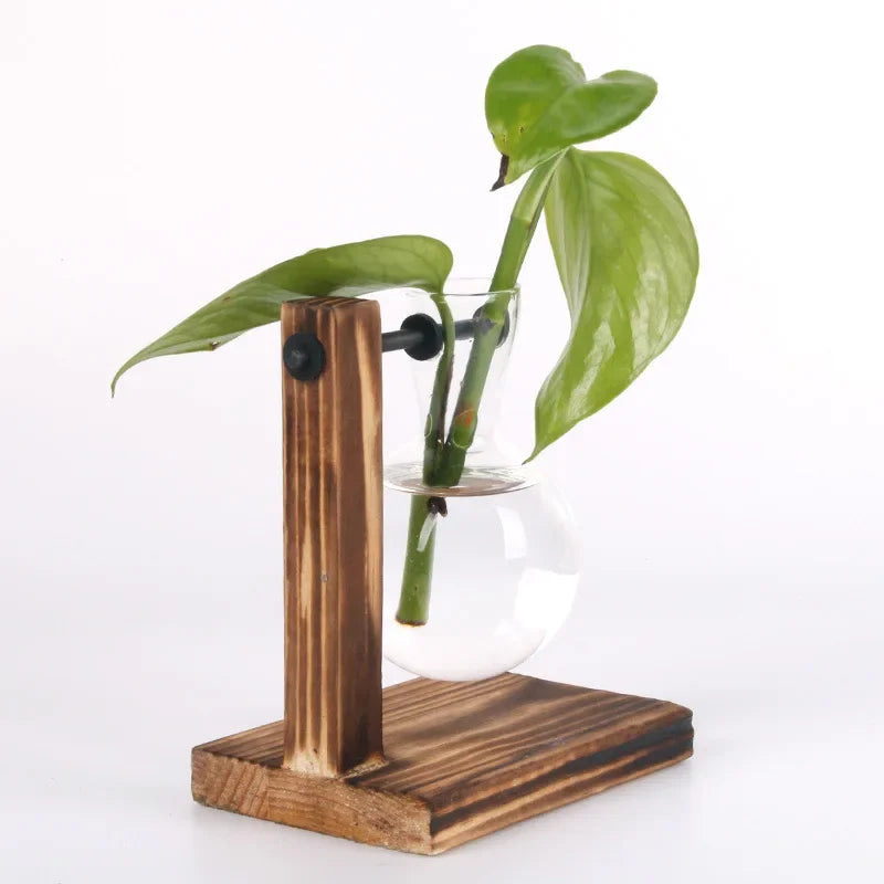 Hydroponic Glass Plant Terrarium Stand