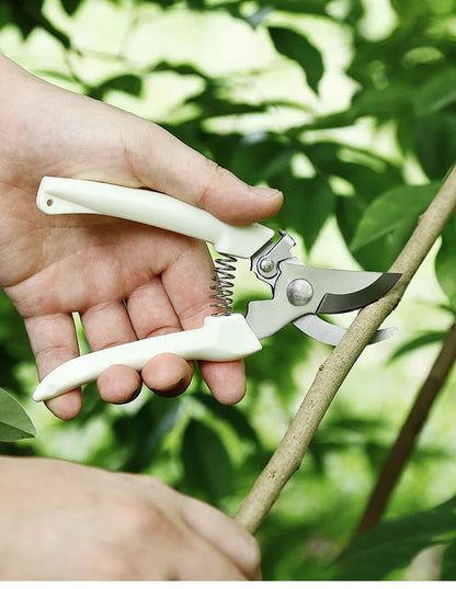 Professional Pruning Scissors