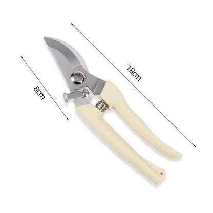 Professional Pruning Scissors