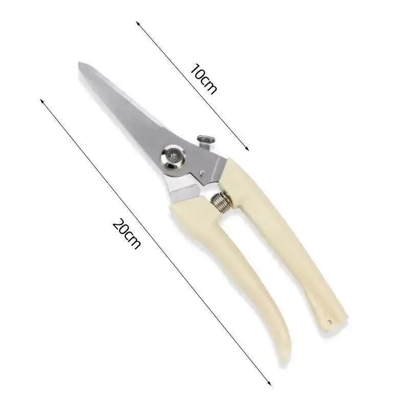 Professional Pruning Scissors