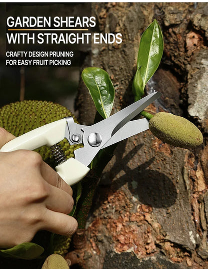 Professional Pruning Scissors